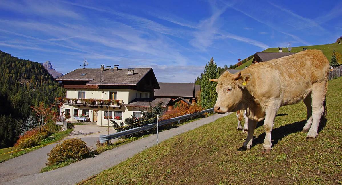 Villa Lüch da Spescia La Valle Esterno foto